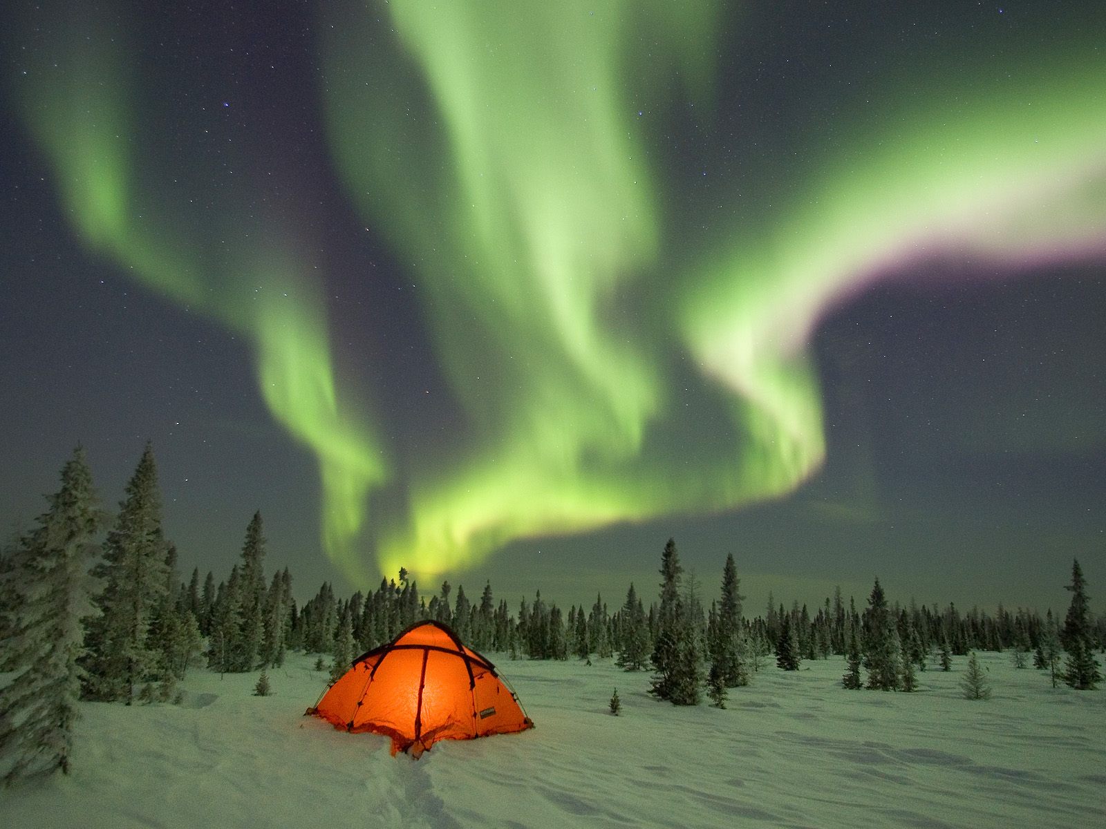 camping_under_the_northern_lights_boreal_forest_canada_wallpaper-normal.jpg